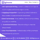 Premium Content Writing Services by ISMAIL BLOGGER